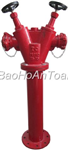 D114 Fire hydrant